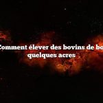 Question : Comment élever des bovins de boucherie sur quelques acres